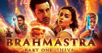 Top 10 Bollywood Movies 2022